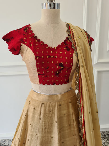 Red &amp; Beige Heavy Hand-Embroidered Lehanga set